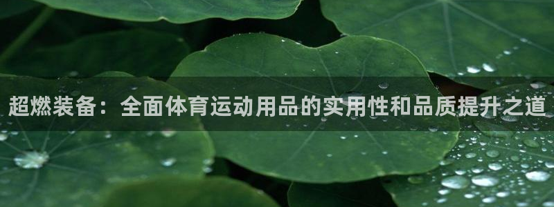 JJB竞技宝官方正版app官网