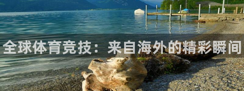 JJB竞技宝官方正版app娱乐下载：全球体育竞技：来