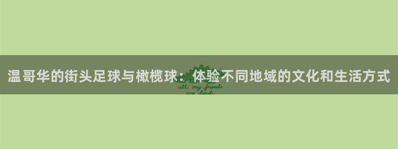 JJB竞技宝官网下载是干嘛的公司：温哥华的街头足球与