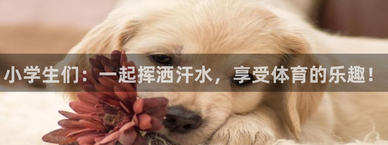 德国JJB竞技宝官方正版app集团：小学生们：一起挥