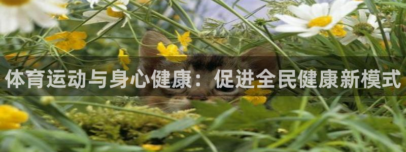 JJB竞技宝官网下载娱乐：体育运动与身心健康：促进全