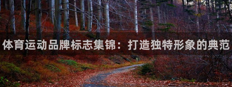 JJB竞技宝官方正版app新能源：体育运动品牌标志集