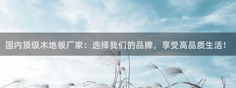 JJB竞技宝官方正版app集团logo：国内顶级木地