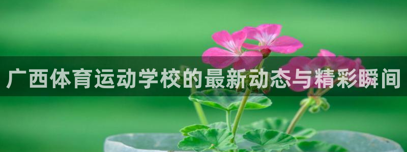 JJB竞技宝官网下载平台注册：广西体育运动学校的最新