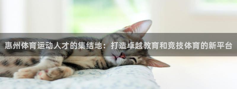 JJB竞技宝官方正版app娱乐网站：惠州体育运动人才