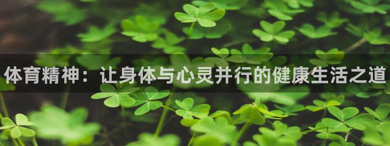 海南JJB竞技宝官网下载发展怎么样：体育精神：让身体