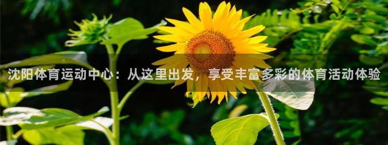 JJB竞技宝官网下载平台注册要钱吗：沈阳体育运动中心