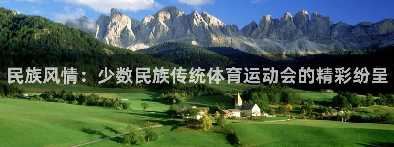 海南JJB竞技宝官网下载：民族风情：少数民族传统体育运动会的