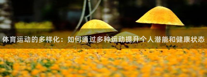 JJB竞技宝官网下载招商电话号码查询是多少：体育运动