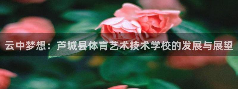 注册JJB竞技宝官方正版app：云中梦想：芦城县体育艺术技术