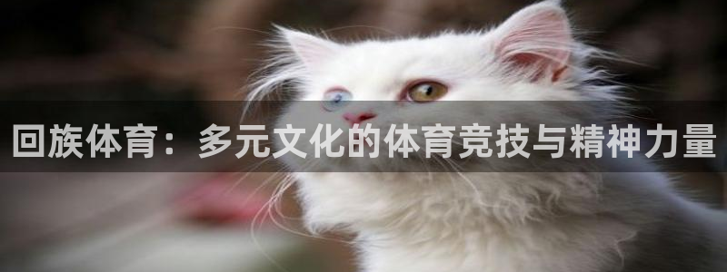 JJB竞技宝官网下载平台注册：回族体育：多元文化的体