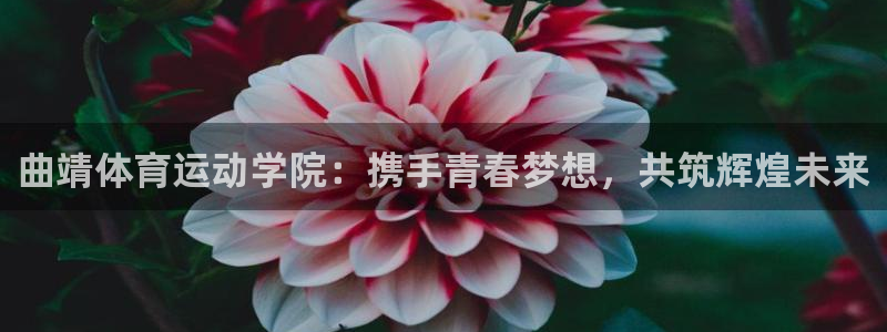 JJB竞技宝官网下载招商电话地址查询：曲靖体育运动学院：携手