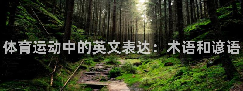 JJB竞技宝官方正版app娱乐代理怎么样：体育运动中
