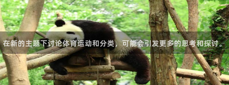 JJB竞技宝官方正版app新能源：在新的主题下讨论体育运动和