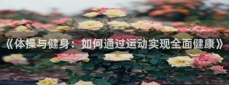 JJB竞技宝官网下载招商电话号码是多少啊：《体操与健