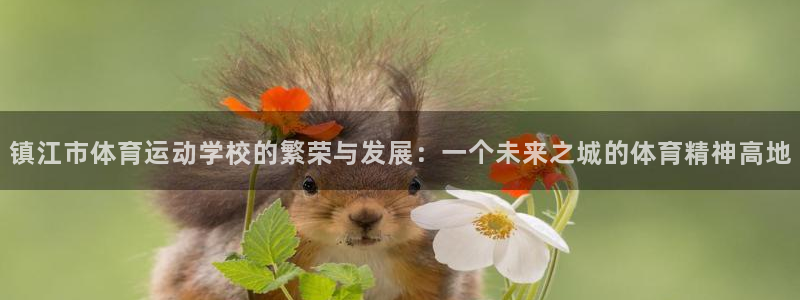 JJB竞技宝官网下载招商电话：镇江市体育运动学校的繁荣与发展
