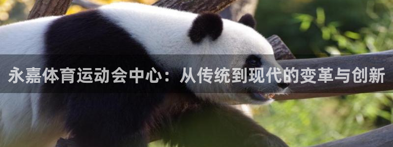 JJB竞技宝官网下载招商电话号码：永嘉体育运动会中心：从传统