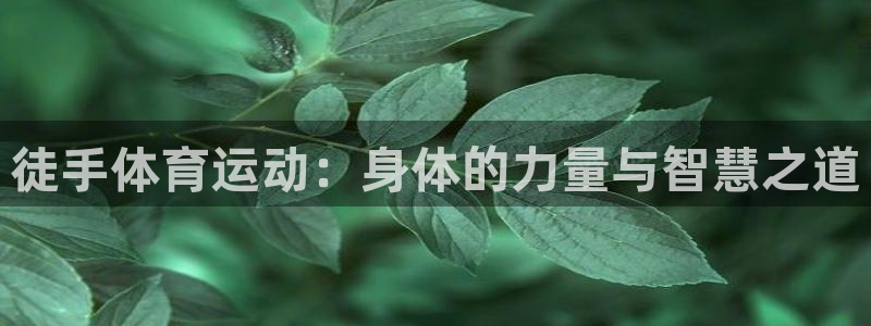 JJB竞技宝官方正版app娱乐网站：徒手体育运动：身体的力量