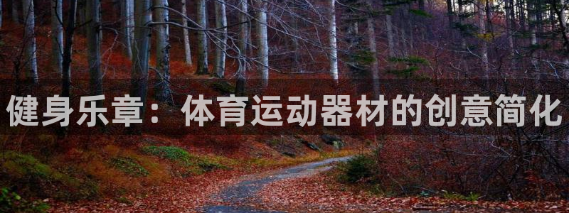 JJB竞技宝官方正版app娱乐：健身乐章：体育运动器材的创意