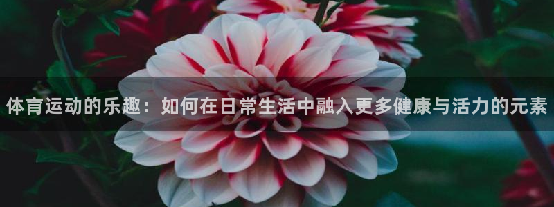 JJB竞技宝官方正版app集团官网网址：体育运动的乐趣：如何