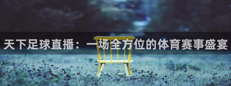 nba直播免费360高清：天下足球直播：一场全方位的体育赛事盛宴