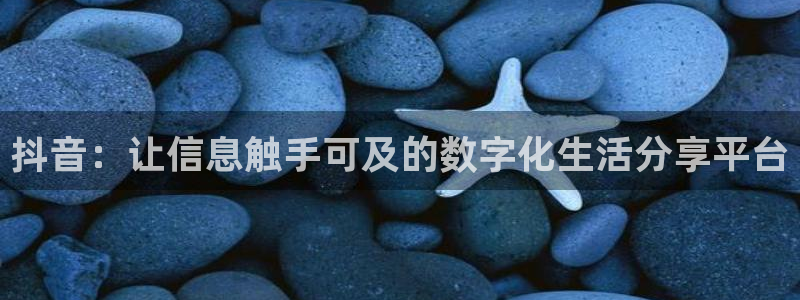 360直播足球直播雨燕