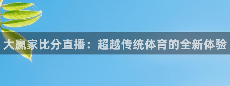 360足球直播在线直播观看高清：大赢家比分直播：超越传统体育的全新体验
