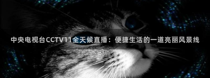山猫体育360直播平台：中央电视台CCTV11全天候直播：便捷生活的一道亮丽风景线